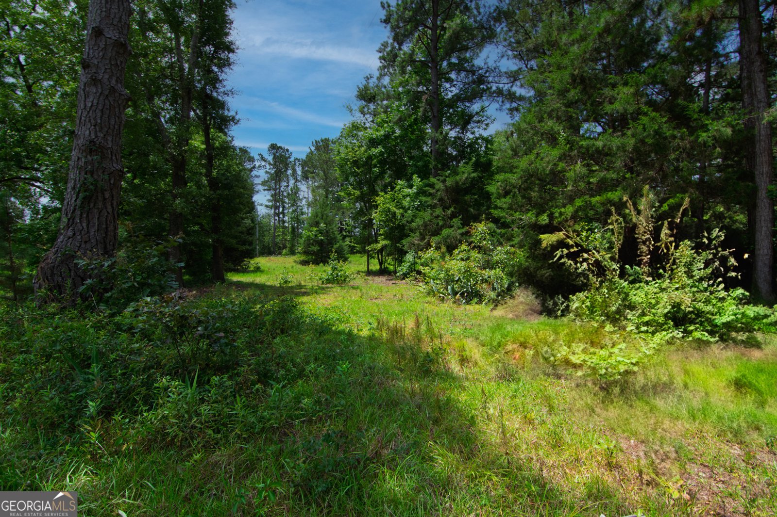 1034 Wommack Brantley Road Tennille - 115