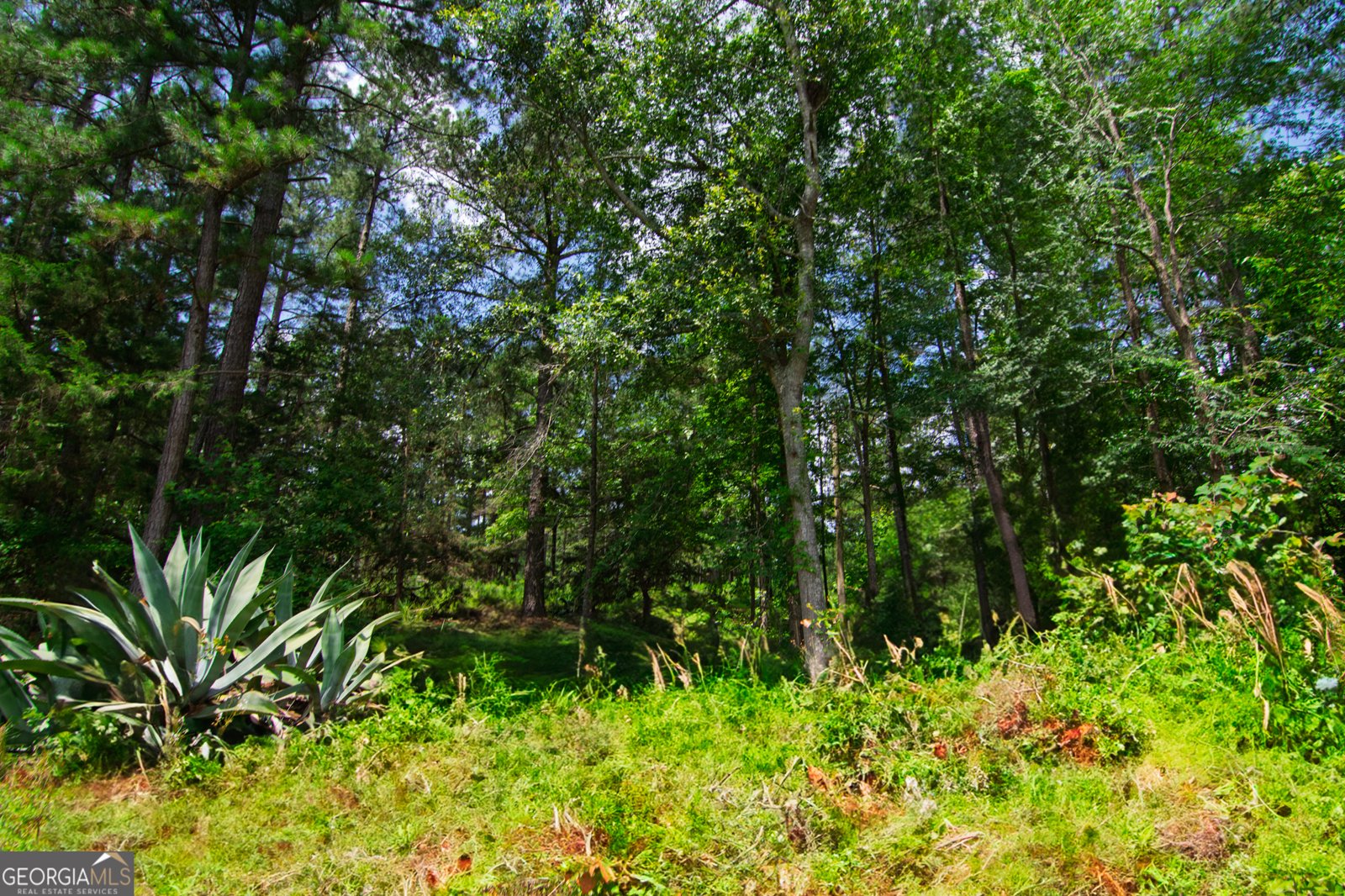 1034 Wommack Brantley Road Tennille - 116