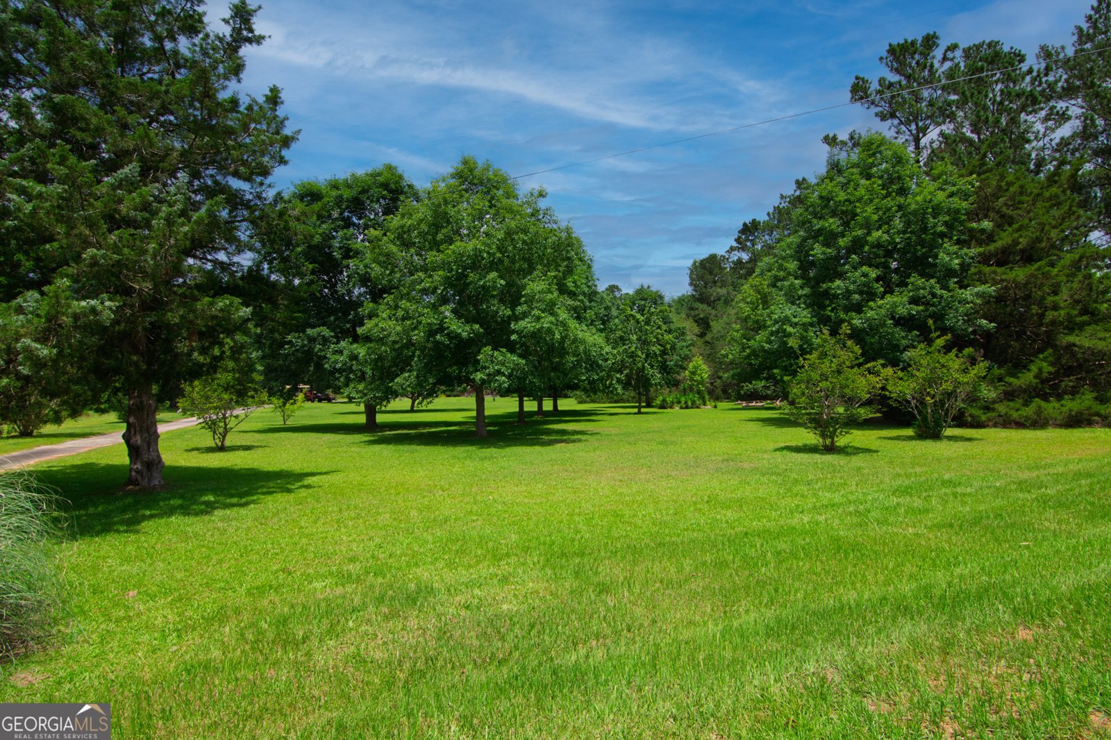 1034 Wommack Brantley Road Tennille - 8