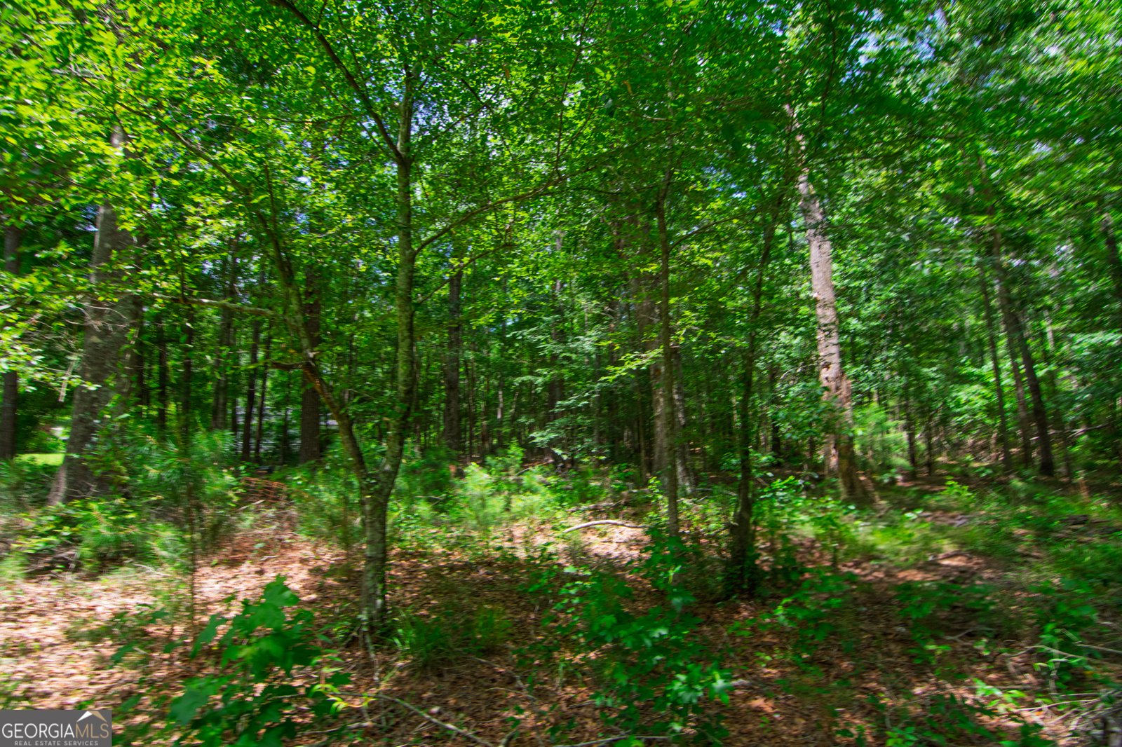 1034 Wommack Brantley Road Tennille - 85