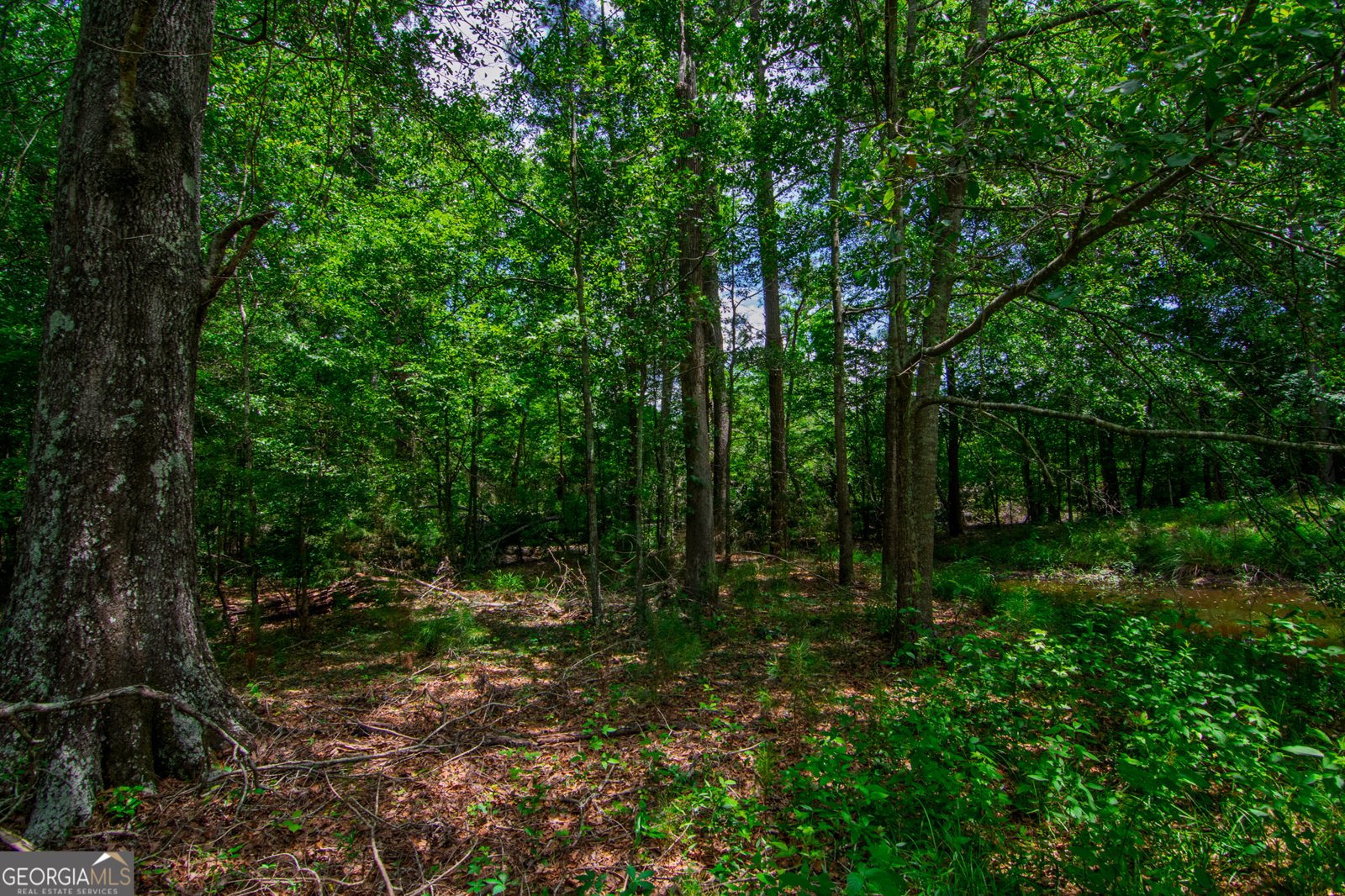 1034 Wommack Brantley Road Tennille - 86