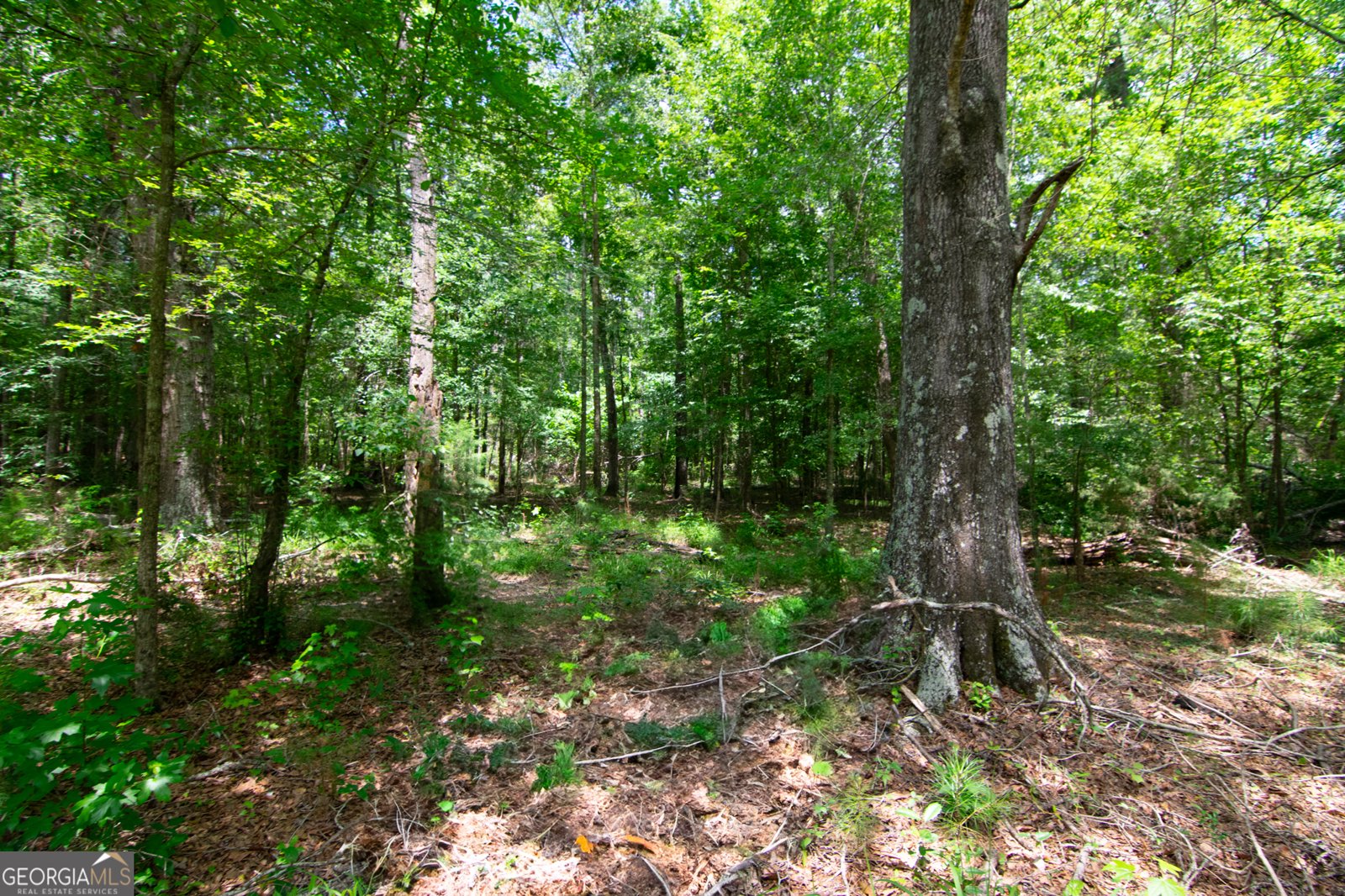 1034 Wommack Brantley Road Tennille - 87