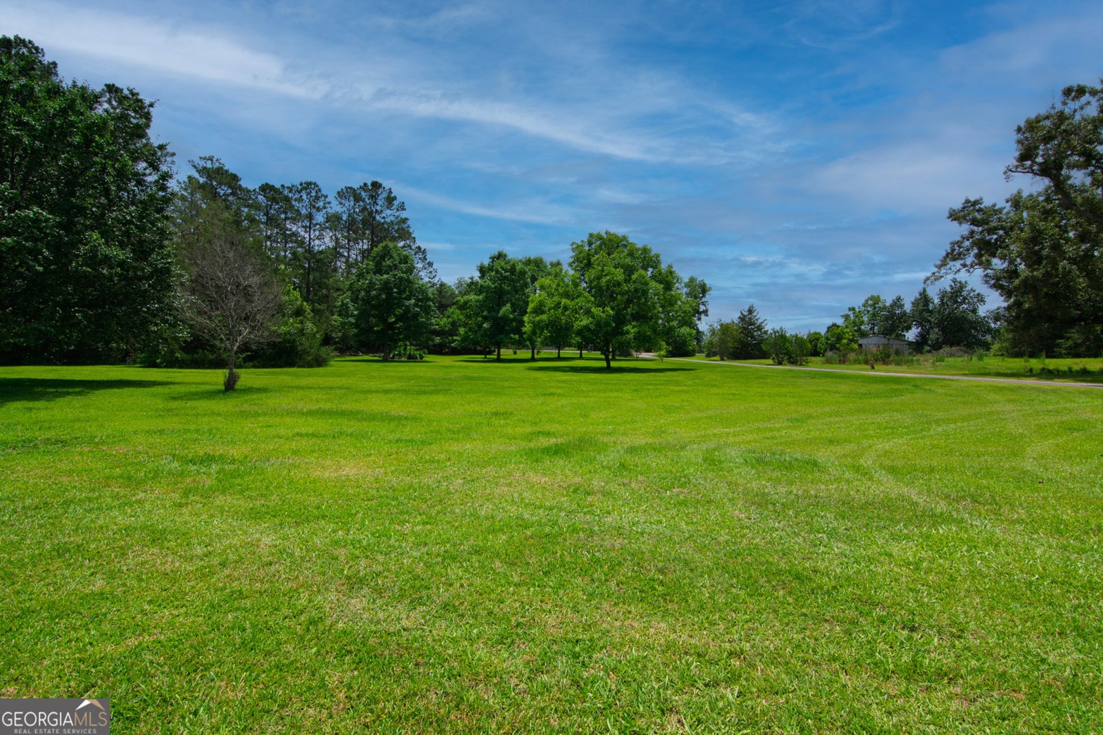 1034 Wommack Brantley Road Tennille - 93
