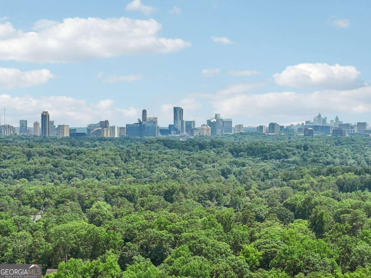 405 Forest Valley Road Sandy Springs - 39
