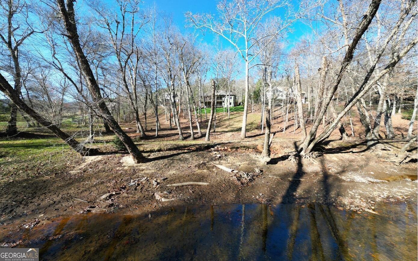 2628 Rolling River Drive Hiawassee - 18