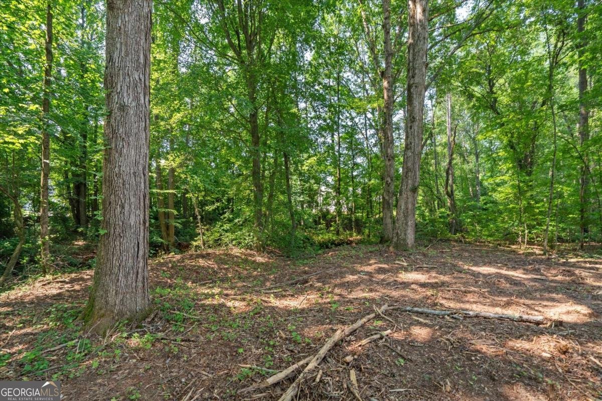 863 Bay Overlook Villa Rica - 66