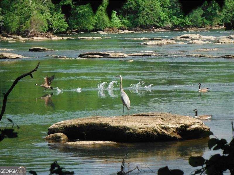 3300 Windy Ridge Parkway Atlanta - 52