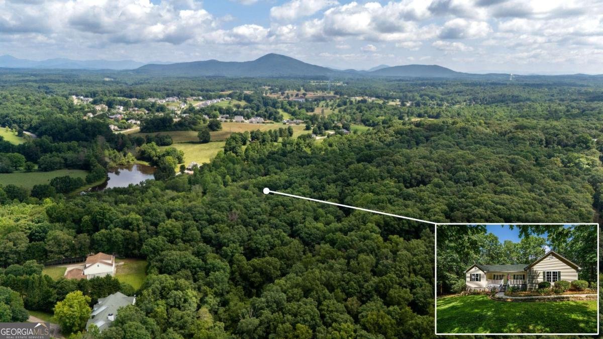 5584 Northwoods Road Clermont - 2