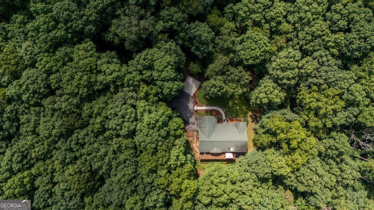 5584 Northwoods Road Clermont - 3
