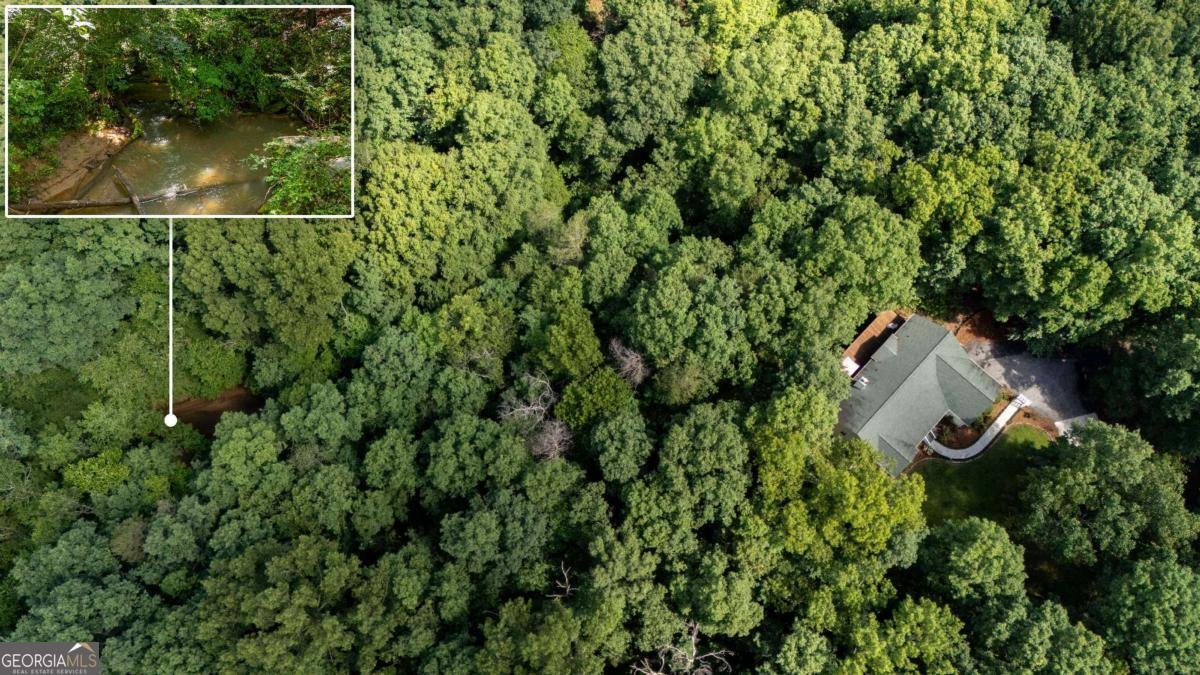 5584 Northwoods Road Clermont - 4
