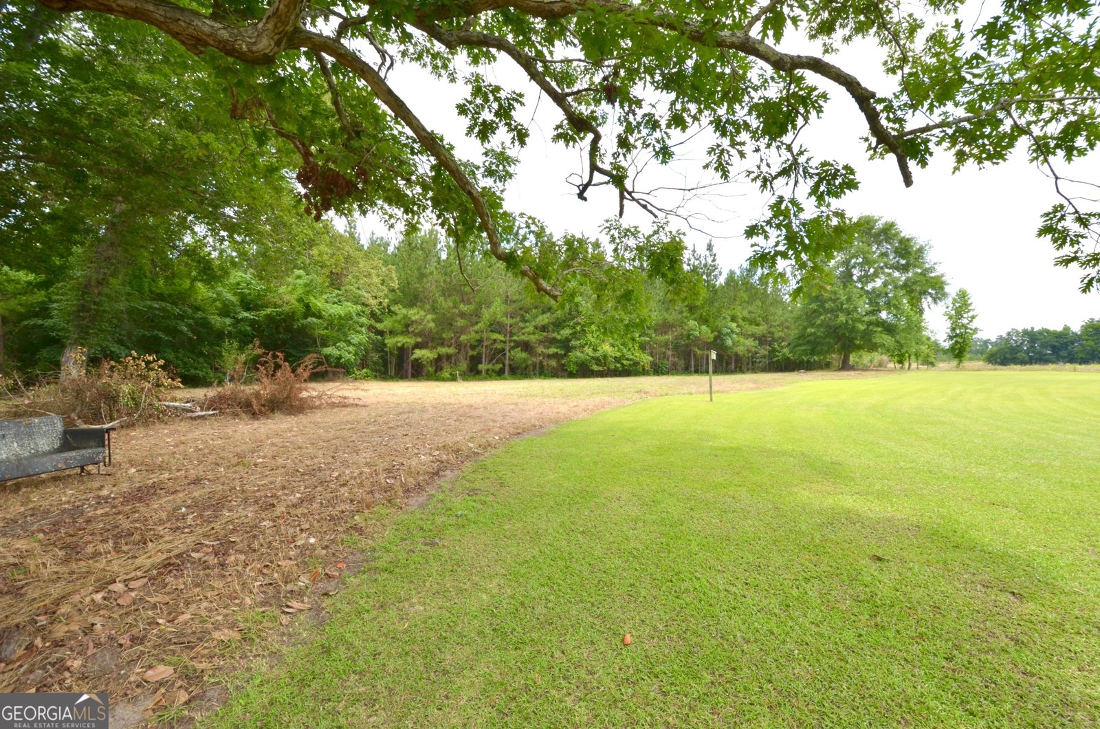2025 Chicken Road Dudley - 16