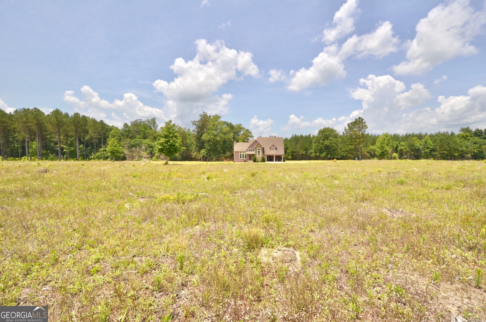 2025 Chicken Road Dudley - 18