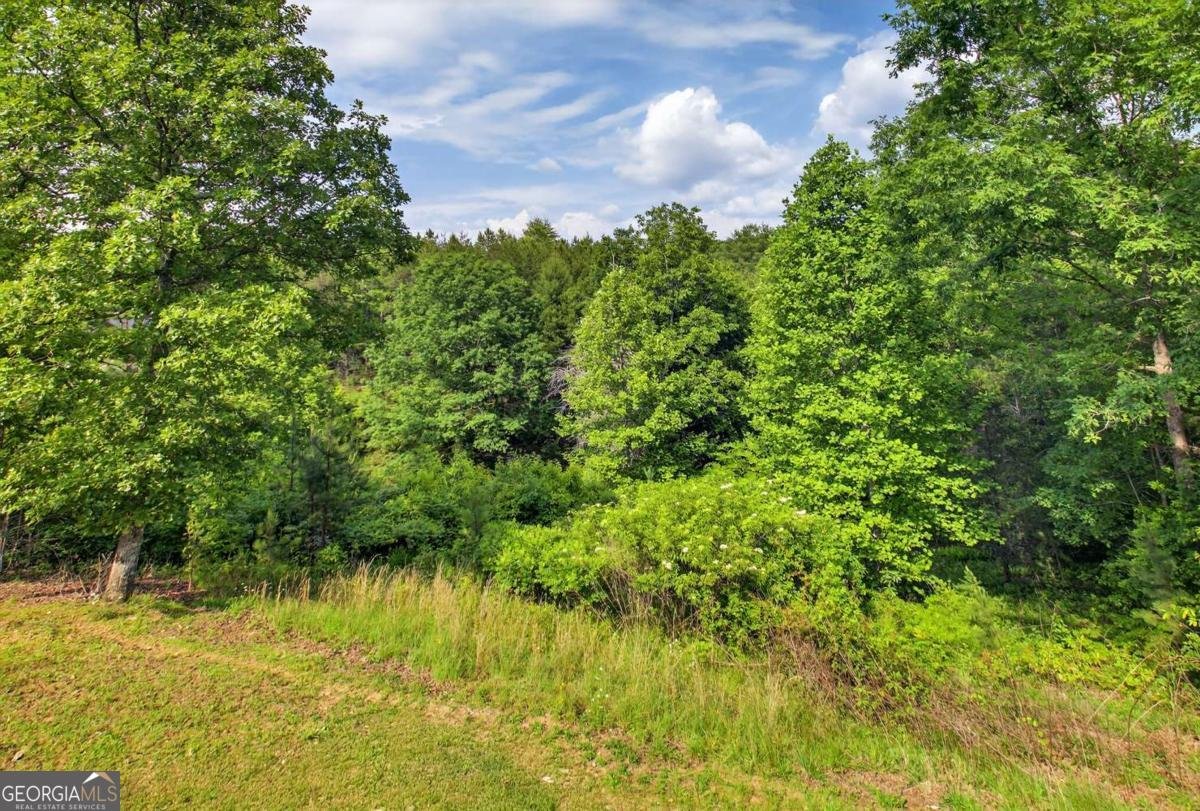288 Walnut Hills Drive Mineral Bluff - 16
