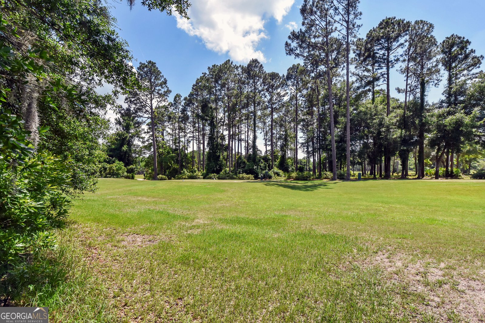 1069 Shellman Hammock Drive Townsend - 10