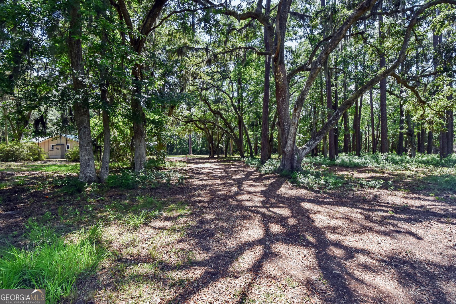 1069 Shellman Hammock Drive Townsend - 11