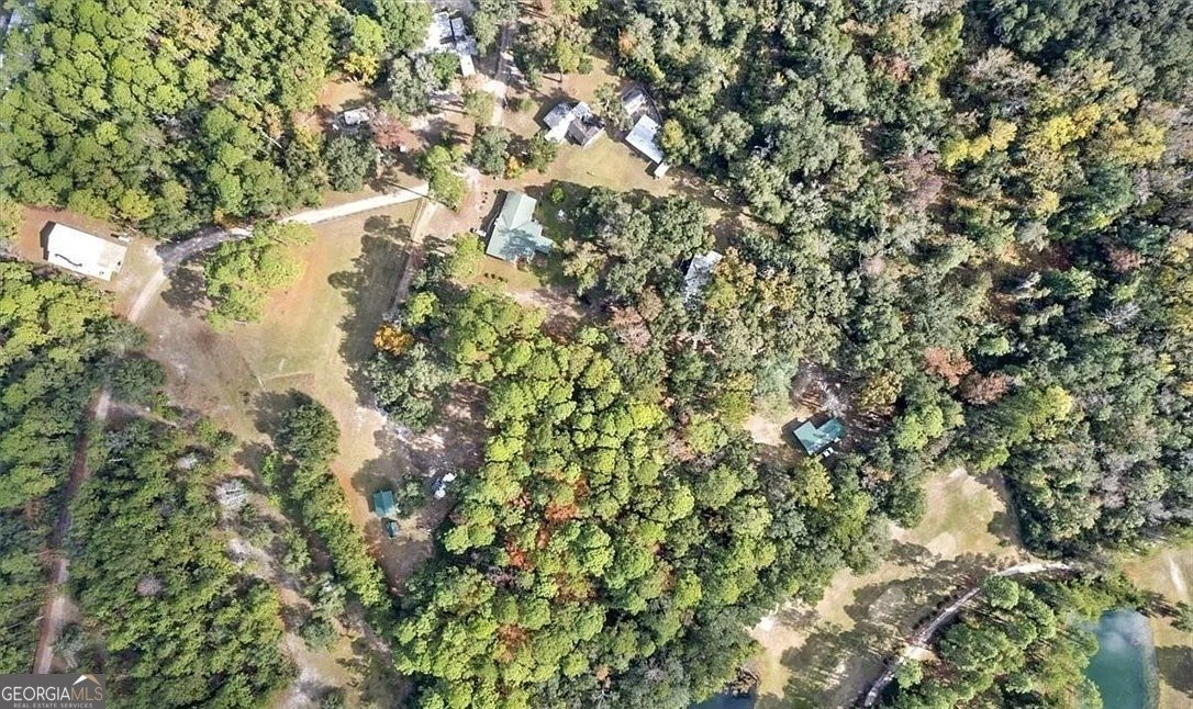 1069 Shellman Hammock Drive Townsend - 17