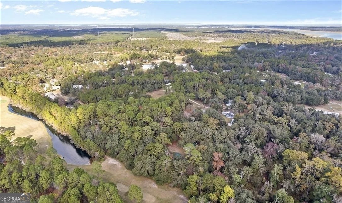 1069 Shellman Hammock Drive Townsend - 41