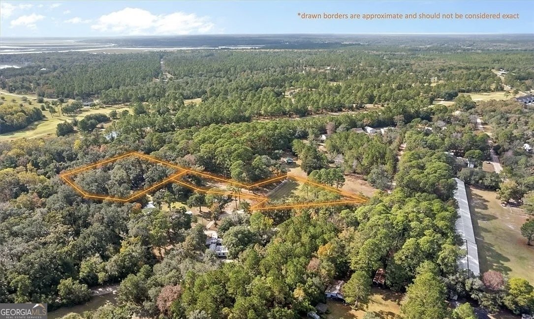 1069 Shellman Hammock Drive Townsend - 42