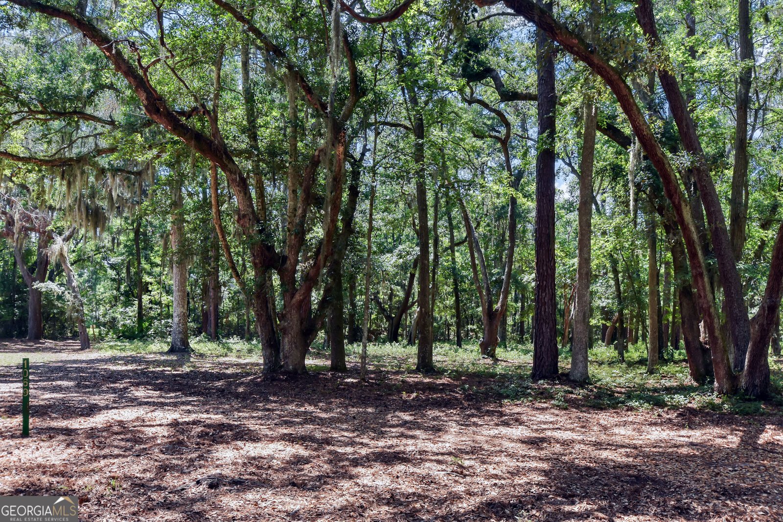 1069 Shellman Hammock Drive Townsend - 8