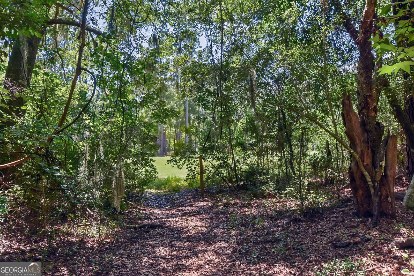 1069 Shellman Hammock Drive Townsend - 9