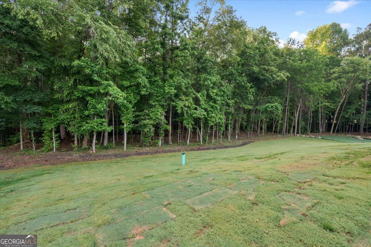 859 Bay Overlook Villa Rica - 57