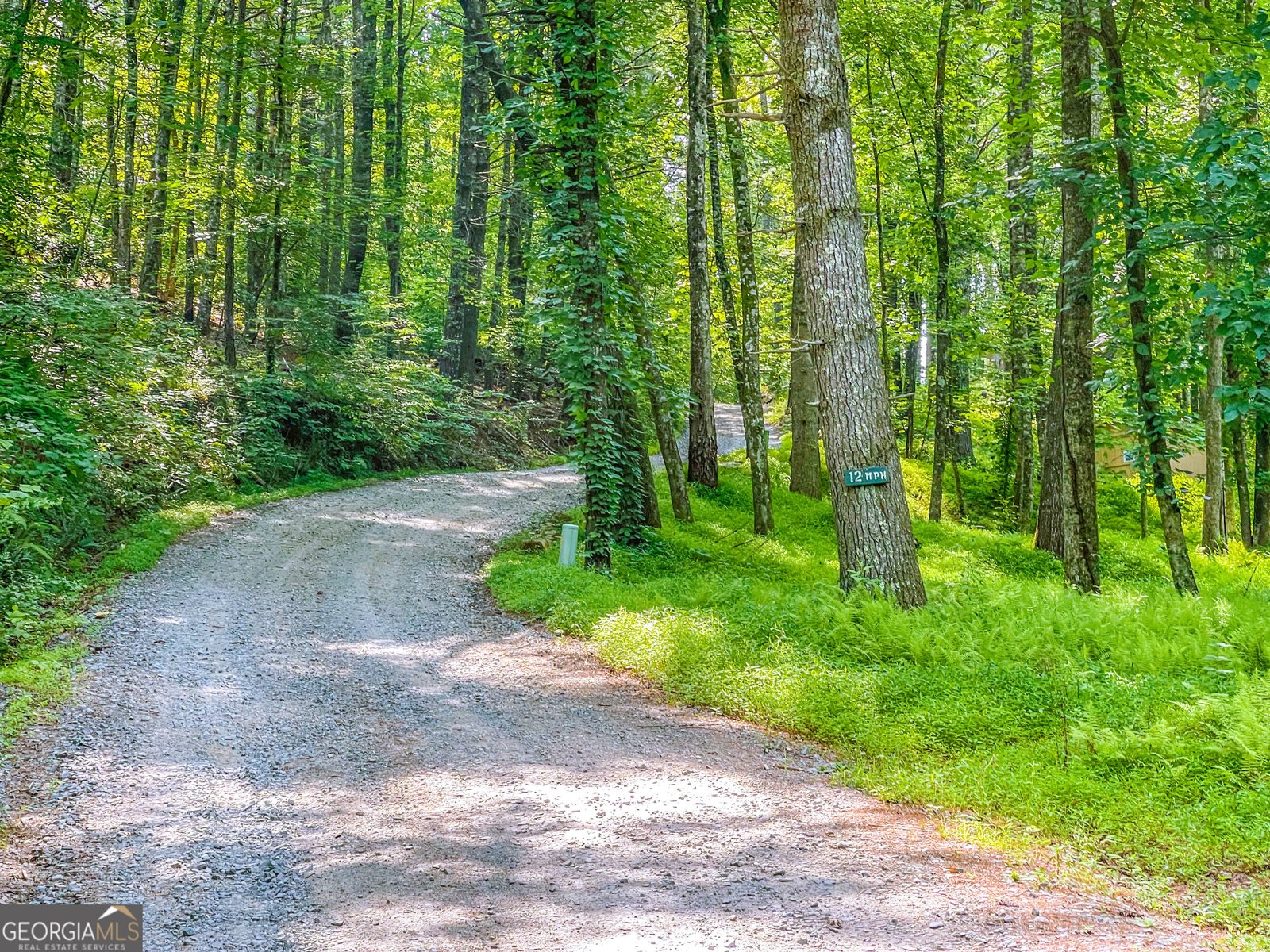 87 Rustic Ridge Blue Ridge - 9