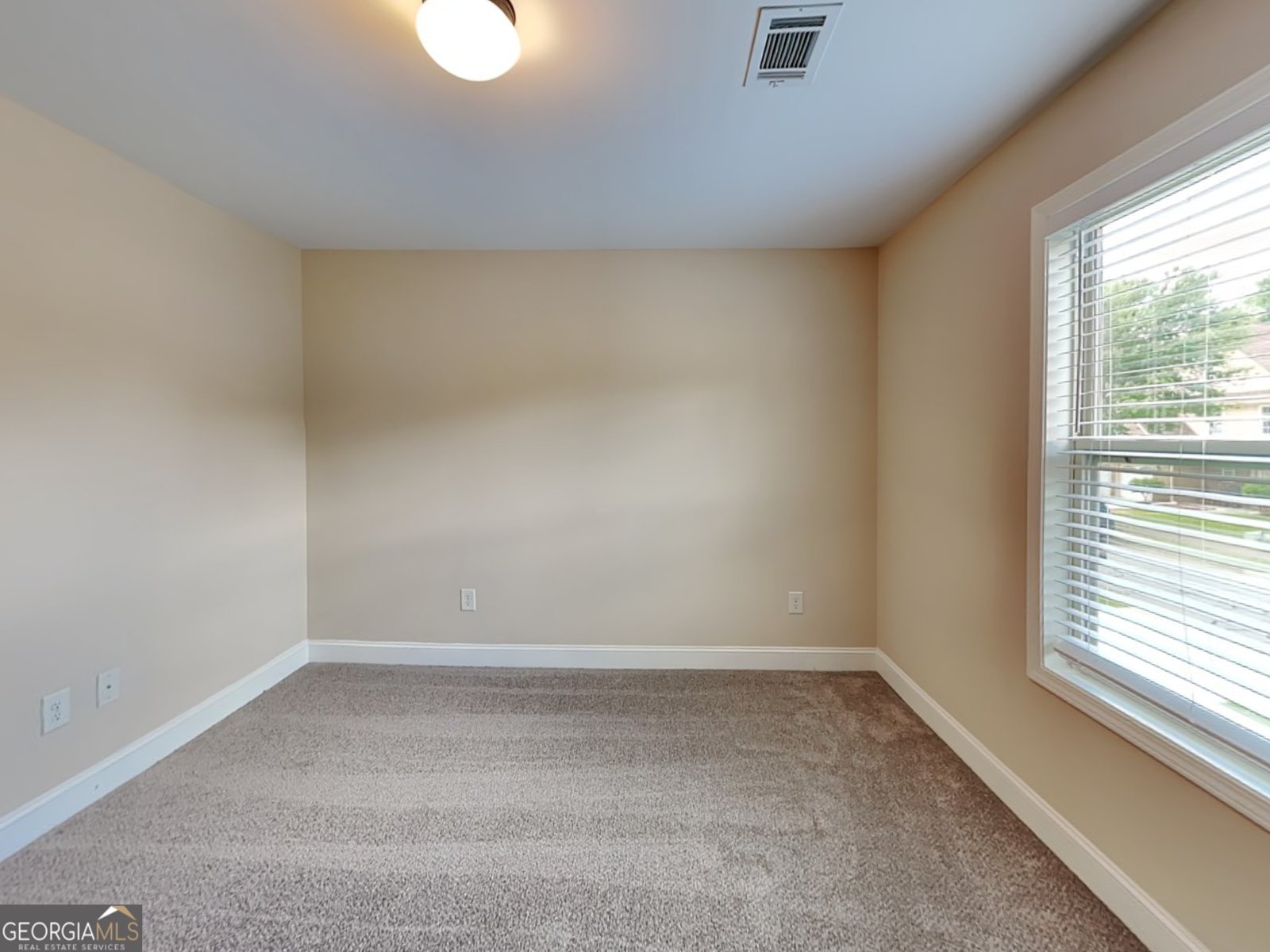 513 Cherry Creek Drive Loganville - 16