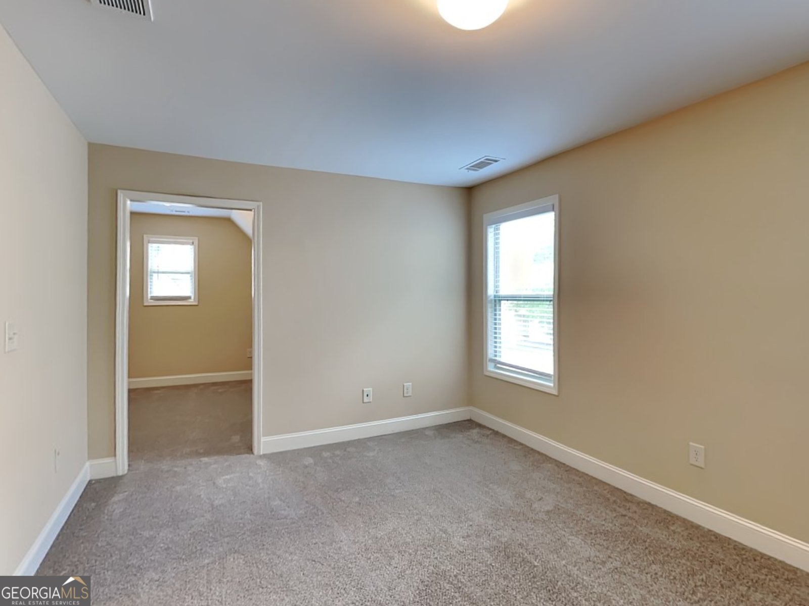 513 Cherry Creek Drive Loganville - 18
