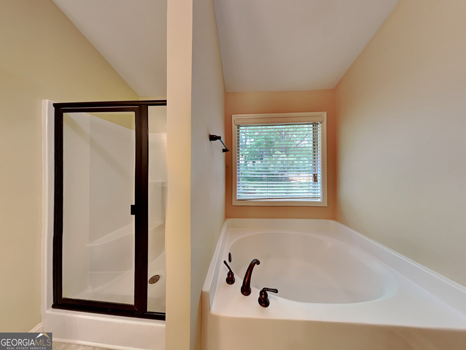 513 Cherry Creek Drive Loganville - 20