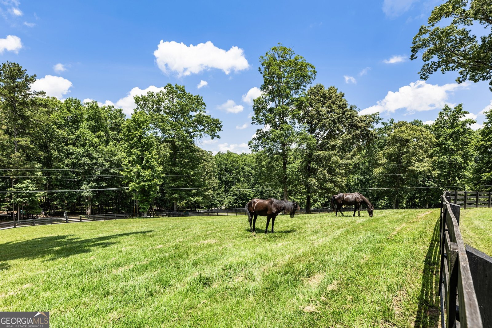 511 Dogwood Lake Trail Alpharetta - 61