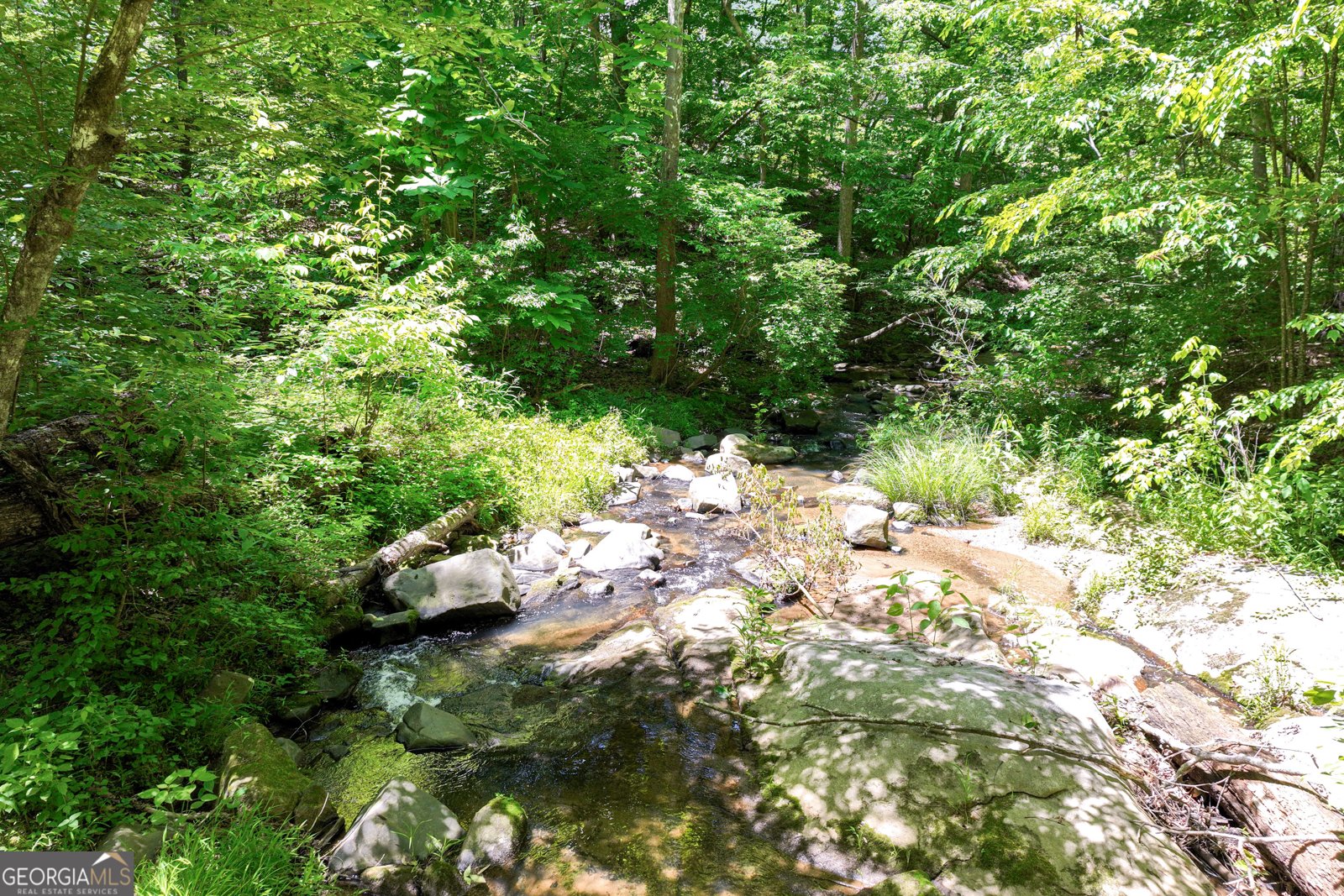 8240 Hurakan Creek Crossing Cumming - 43