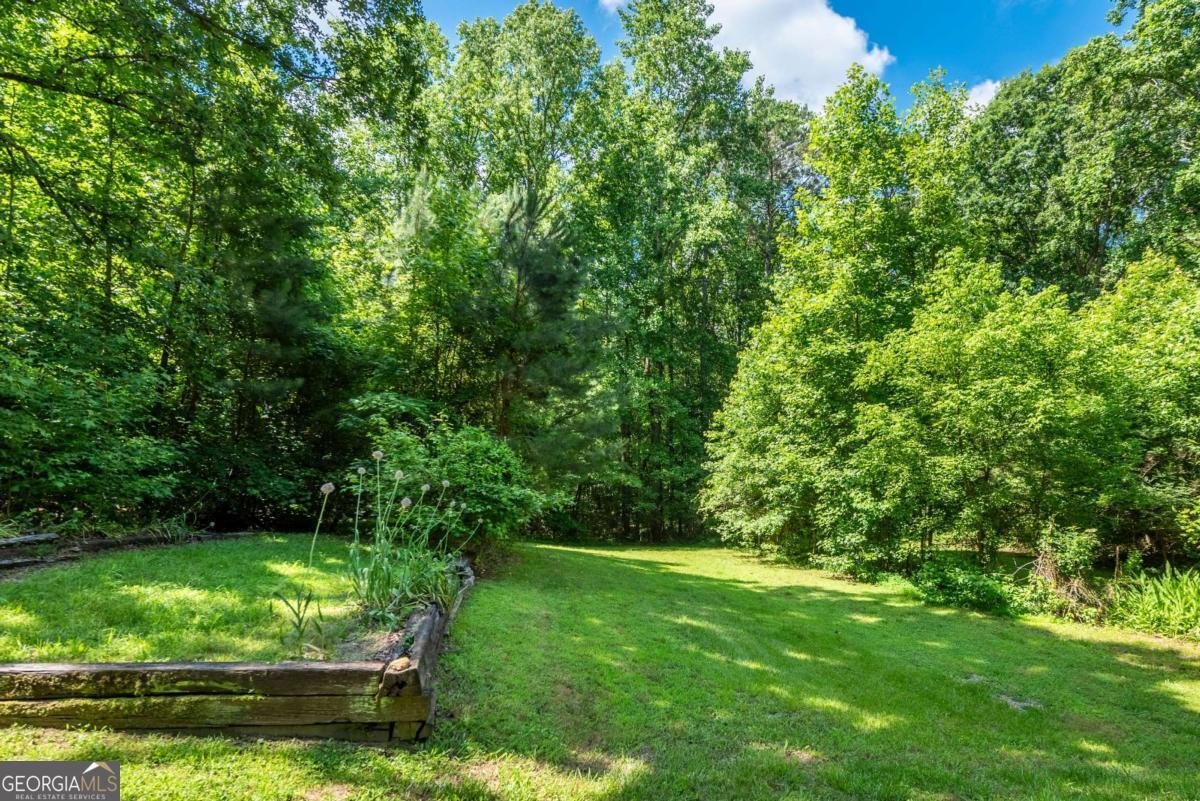 410 Sharp Mountain Church Lane Ball Ground - 5