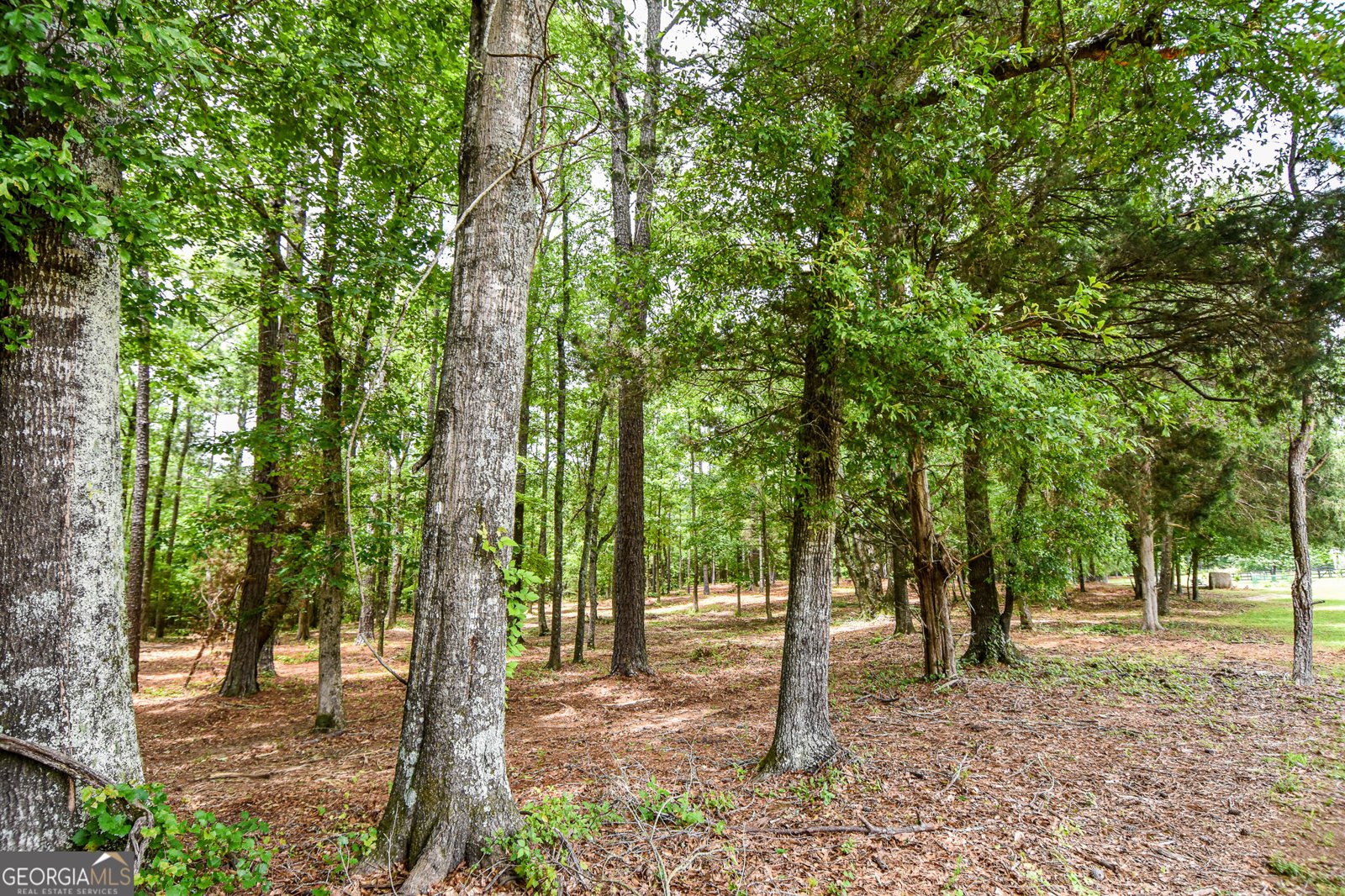 1863 Fossett Road Concord - 71