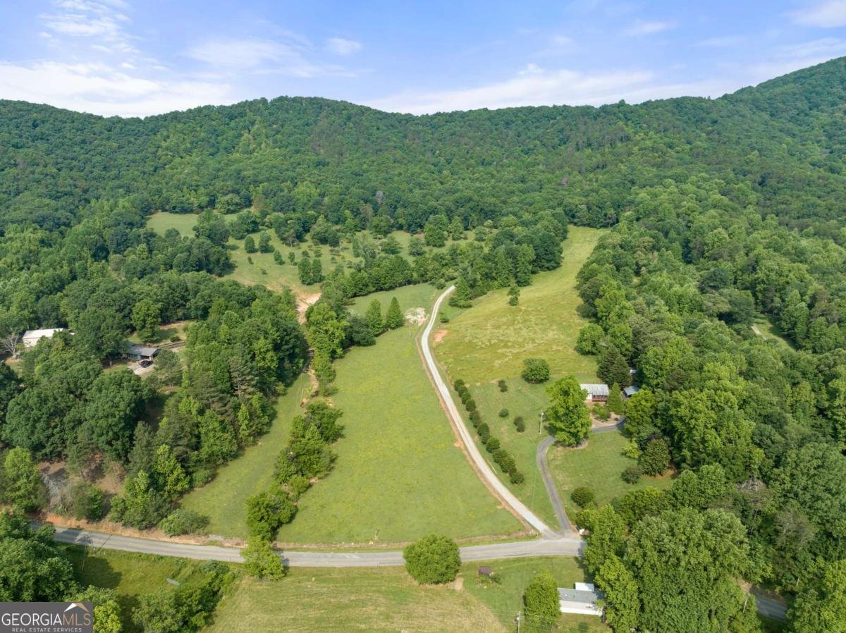 0 Freeman View Trail, Lot 2 Cleveland - 10