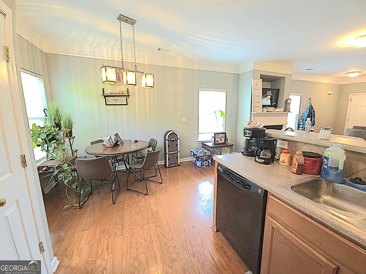 2077 Appaloosa Way Conyers - 42