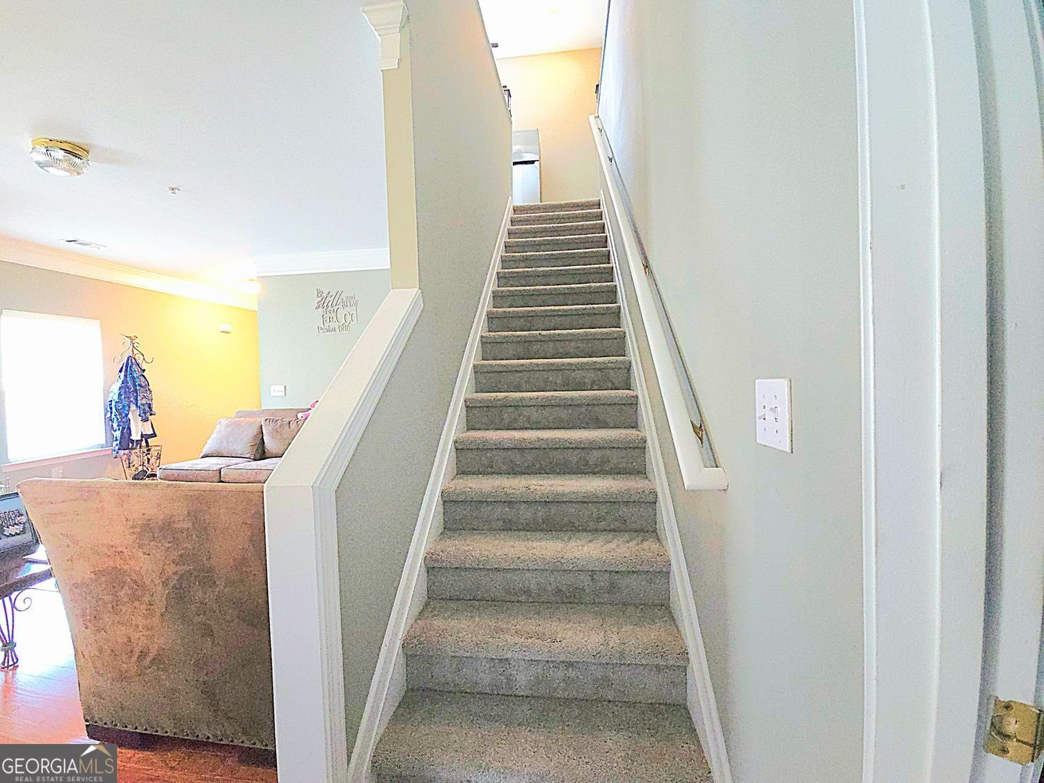 2077 Appaloosa Way Conyers - 54