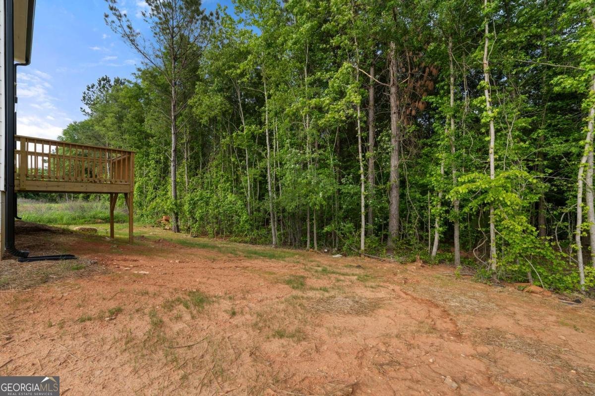 4095 Oriole Lane Fairburn - 4