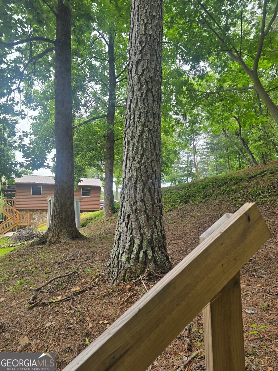 1151 Twin Mountain Lakes Circle Talking Rock - 71