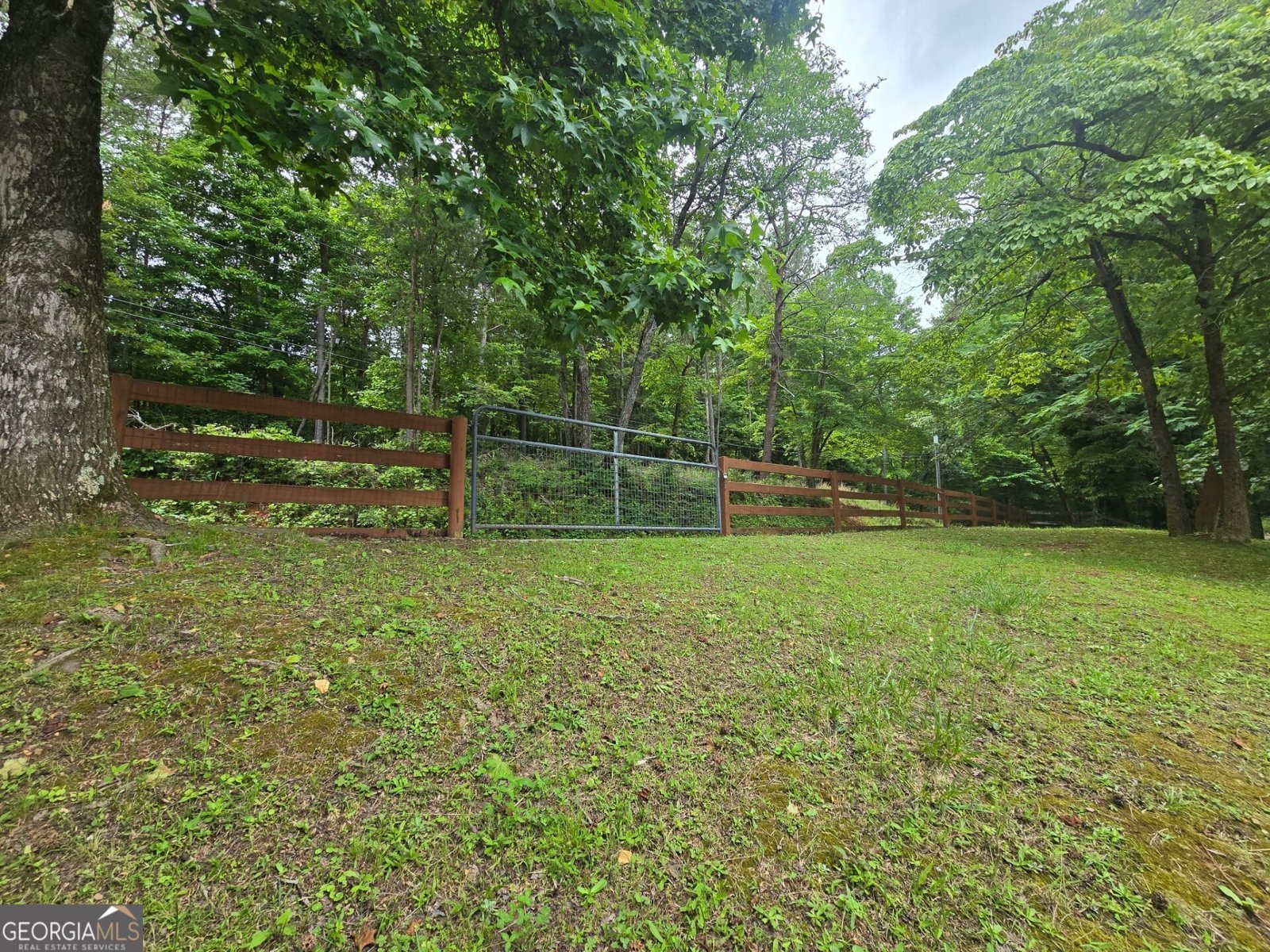 1151 Twin Mountain Lakes Circle Talking Rock - 81