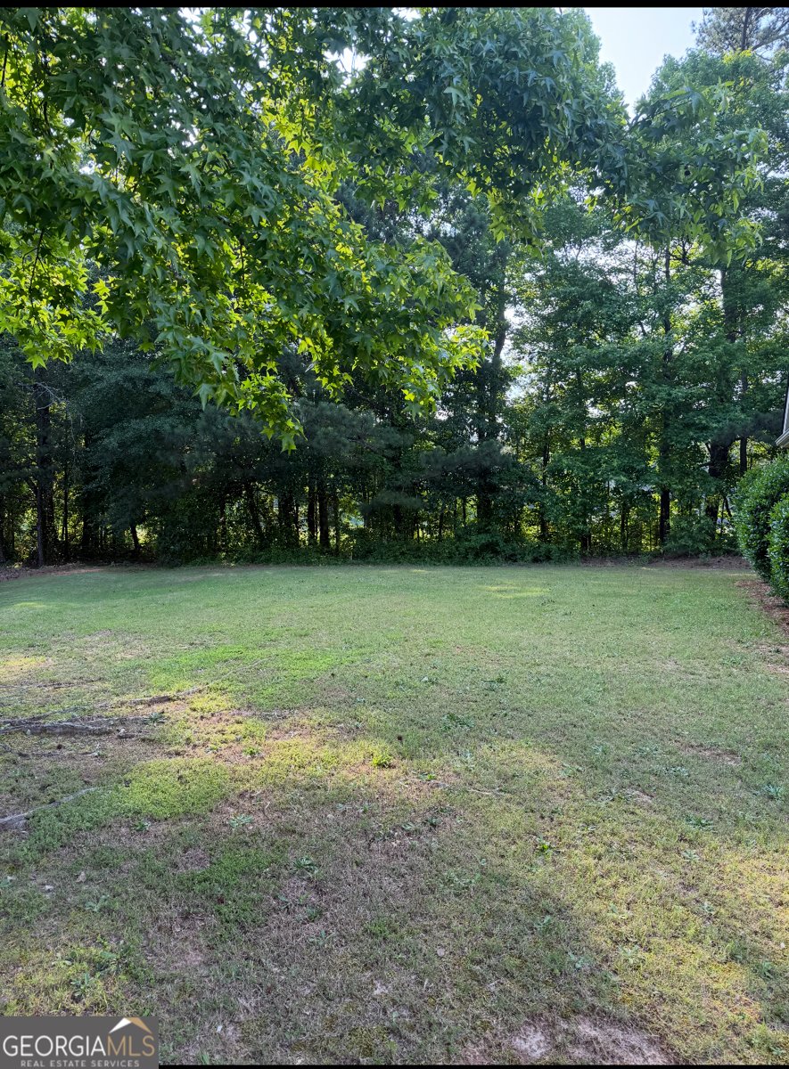 2474 Starfire Lane Loganville - 19