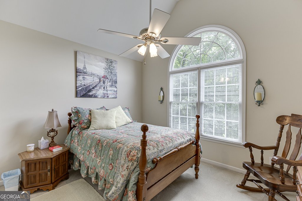 3871 Lake Juliette Drive Buford - 23
