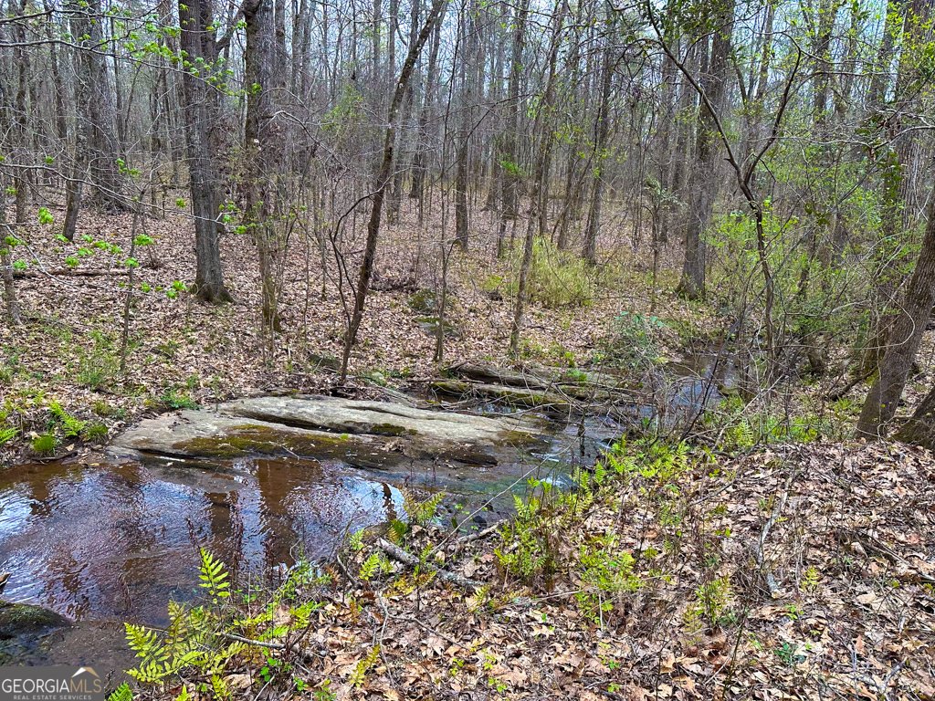270 Indian Creek Road Good Hope - 85