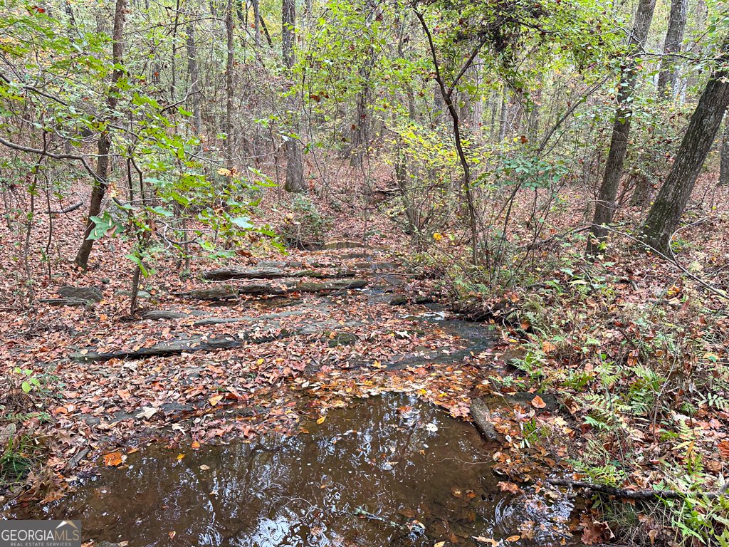 270 Indian Creek Road Good Hope - 88