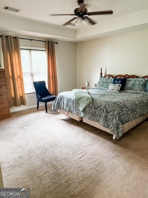 317 Terrell Street Metter - 7