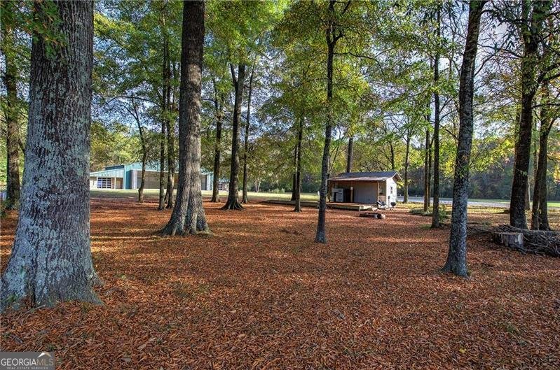 1195 GRADY Road Rockmart - 1