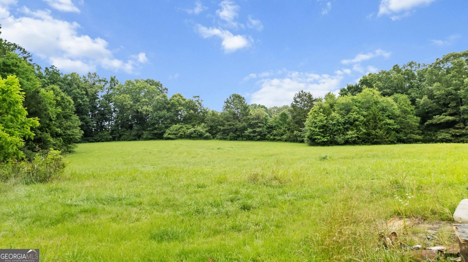 256 Cuzzort Road Cedartown - 5