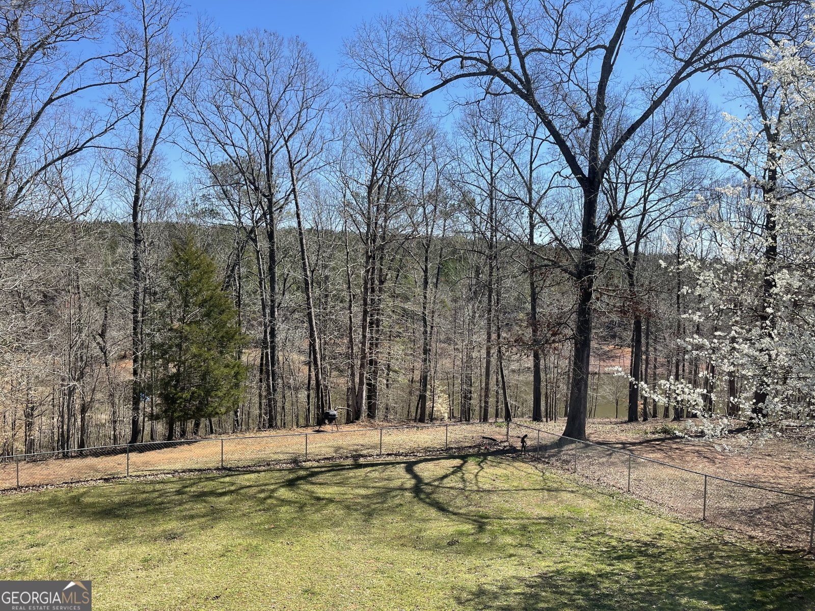 637 Lakeview Drive Newborn - 14