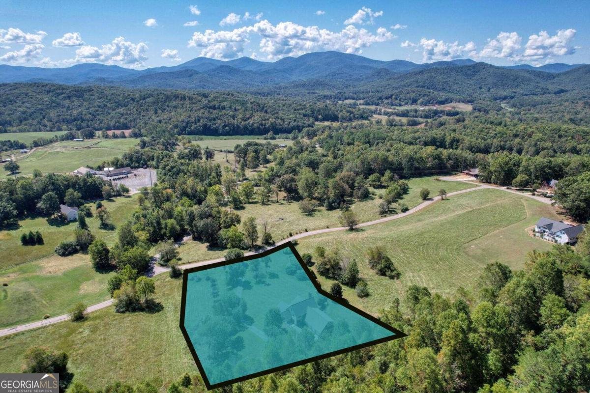 208 Rich Drive Blairsville - 65