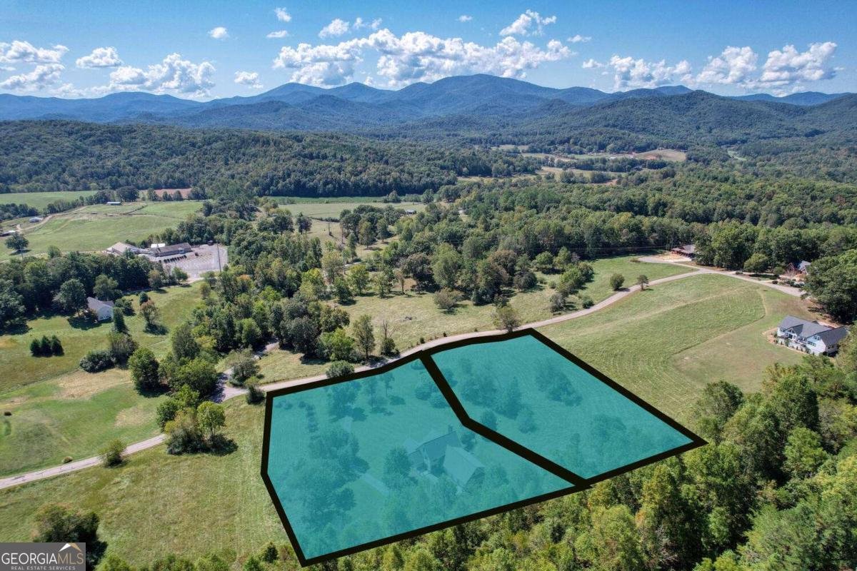 208 Rich Drive Blairsville - 66