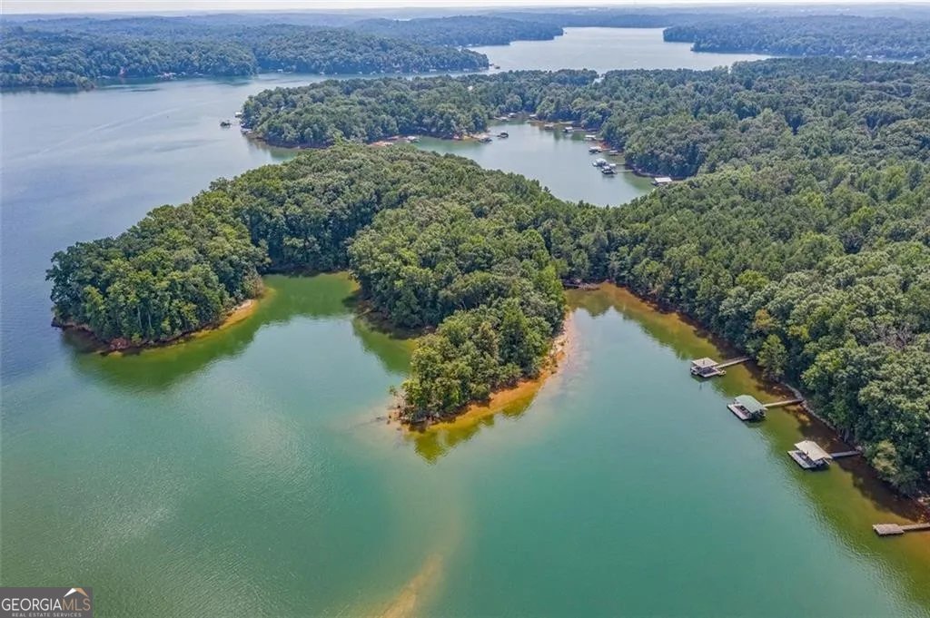 294 Lakeshore Drive Lavonia - 33